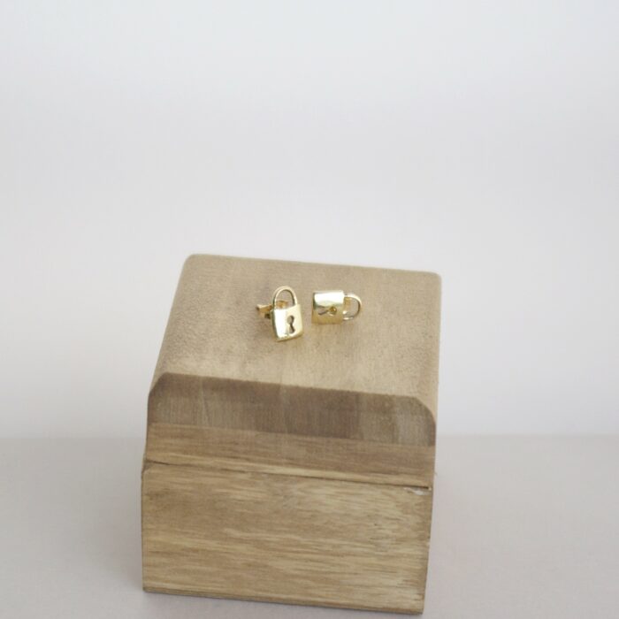Puces d'oreilles cadenas